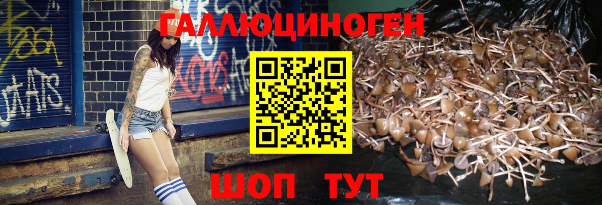 Ишимбай  Галлюциногенные грибы мухоморы  Вход с VPN  Галлюциногенные грибы Magic Shrooms 